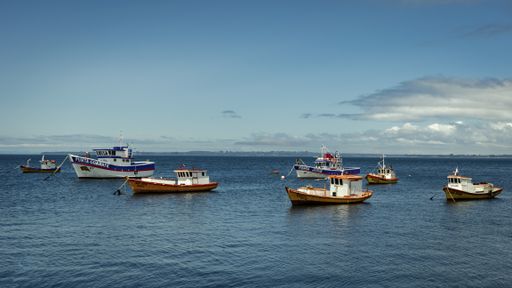 A beautiful shot of different fishing ships in the sea