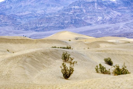 A closeup shot of sand dunes in Death Valley National Park, USA