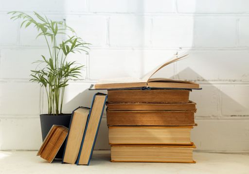 A collection of colorful hardcover books arranged in a stack, with a small leafy green houseplant