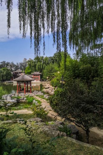 A vertical shot of a Chinese garden