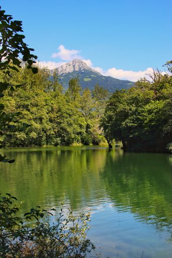 A vertical shot of a beautiful lake near the forest in Asturias, Spain
