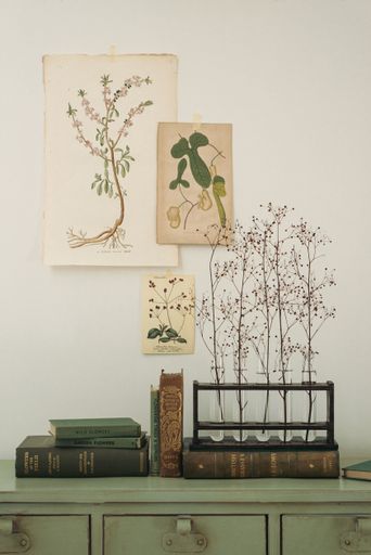 A beautiful shot of minimalist flowers in vases, books, and botanical posters - interior design