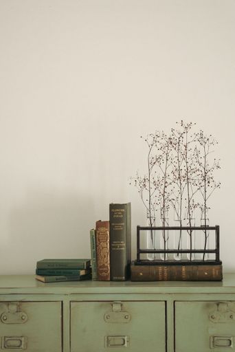 A beautiful shot of minimalist flowers in vases and books on an old cabinet