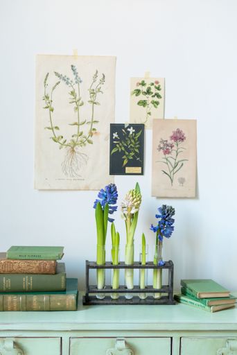 A beautiful shot of minimalist flowers in vases, books, and botanical posters - interior design