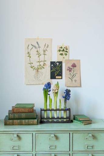 A beautiful shot of minimalist flowers in vases, books, and botanical posters - interior design