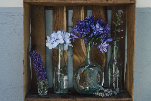 A beautiful shot of assorted colorful flowers in individual vases on a wooden shelf