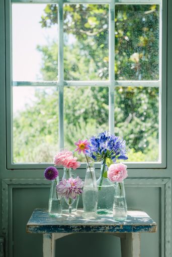 A vertical shot of assorted colorful flowers in individual vases on a wooden table in front of a window