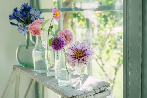 A beautiful shot of assorted colorful flowers in individual vases on a wooden table