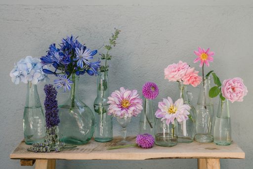 A beautiful shot of assorted colorful flowers in individual vases on a wooden table