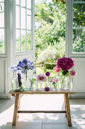 The vases of beautiful flowers on a wooden chair