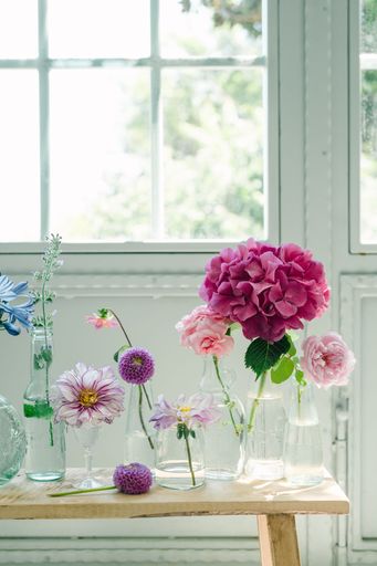 The vases of beautiful flowers on a wooden chair
