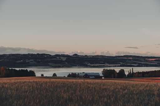 A silhouette shot of a forest on a hill and a crop field during sunset