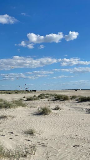 A beautiful view of a sandy beach with grass and flying kites in a sky