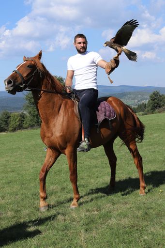 A man on horseback holds a bird in his arm in a grassy field