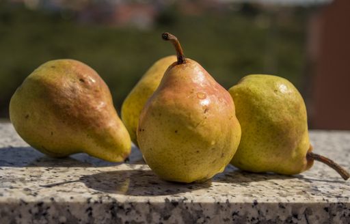 A closeup of newly harvested ripe pears on granite tabletop