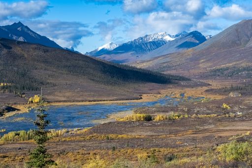 Yukon in Canada, wild landscape in autumn of the Tombstone park