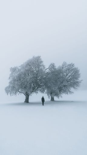 A vertical shot of a lonely man standing in front of two trees on a cold snowy day