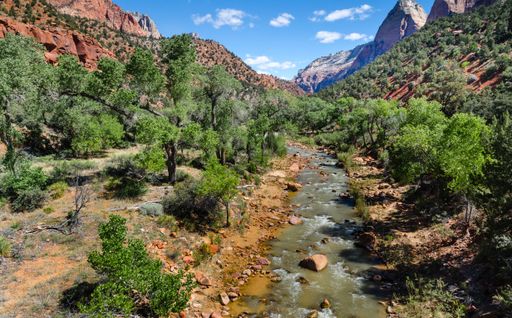 A narrow river surrounded by lush greenery in a canyon with rocky cliffs under a bright sky on a sunny day