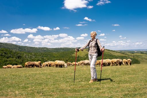A shallow focus shot of an aged female traveler in a big field
