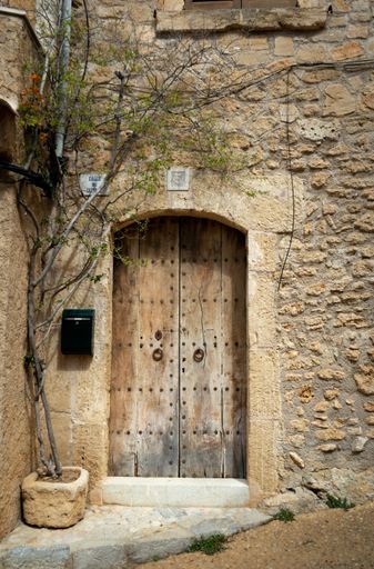 A vertical shot of an old building wooden door