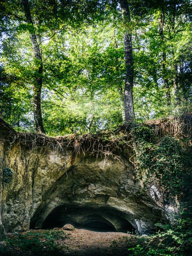 A vertical shot of the secret cave in the woods