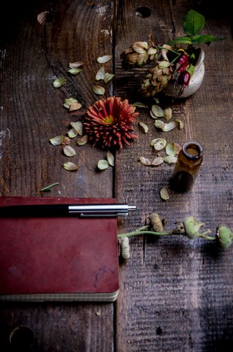 A pen, notebook, and a red flower on a wooden table
