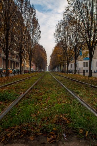 A vertical shot of old railways in a town in spring surrounded by trees