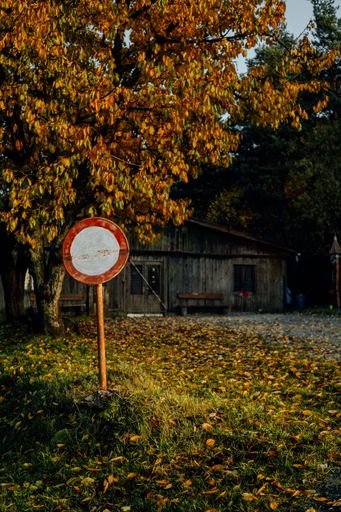 A vertical shot of a round red and white road sign under a tree in front of an old wooden building
