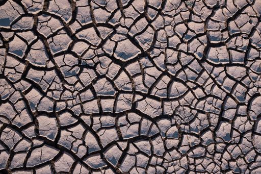 The dry cracked ground. Top view. Arid land, drought.