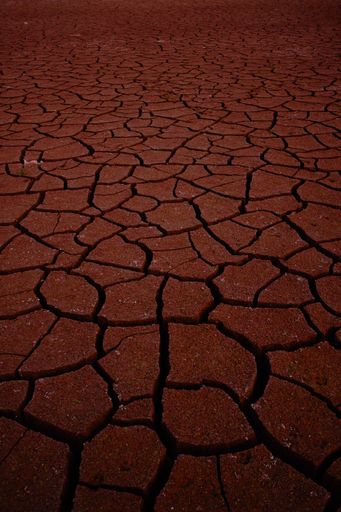 A vertical shot of the dry cracked ground. Arid land, drought.