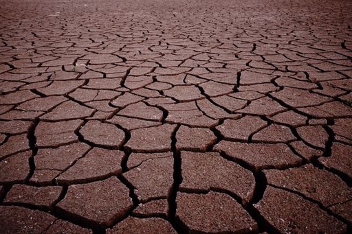 A closeup of the dry cracked ground. Arid land, drought.