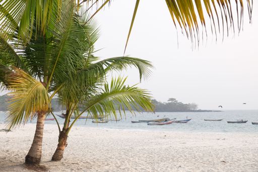 A beautiful view of a sandy beach with palm trees and boats in a sea