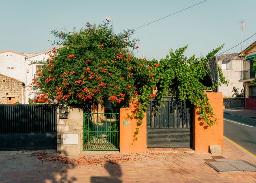 The entrance of the house with blooming flowers and plants on a sunny day