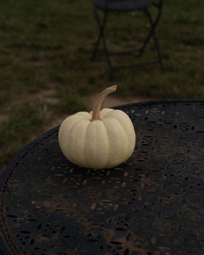 A vertical shot of a white pumpkin on an old table