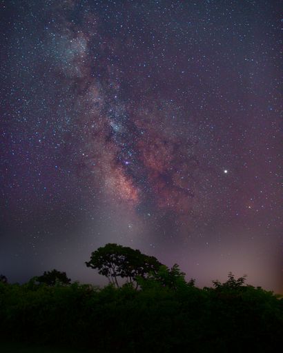 A vertical low angle shot of a bright purple starry galaxy night sky