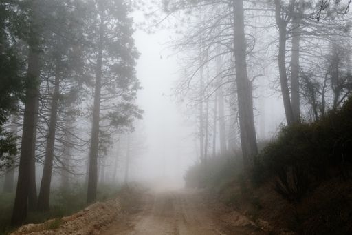 A dirt road through a fogy mountain