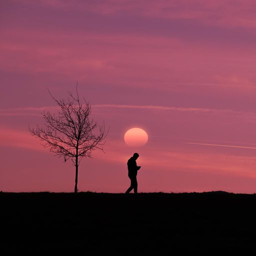 A silhouette of a person and a bare tree under a bright pink sunset sky