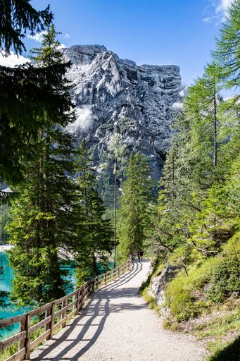 A vertical of a trail between green pine trees against rocky mountains and a lake on a sunny day