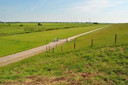 A beautiful shot of a dirt road in the middle of a greenfield with a fence and a gate