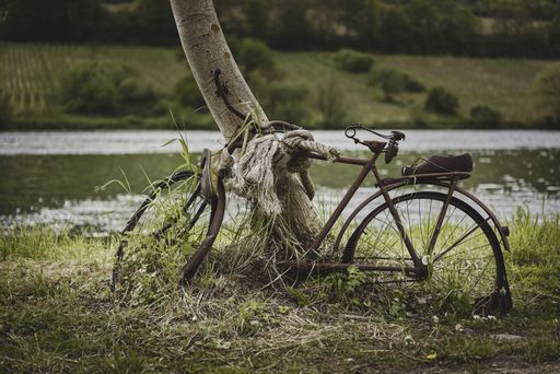 A beautiful shot of an old abandoned bicycle parked next to a tree beside a river in the forest