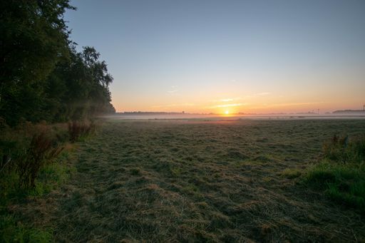 A breathtaking shot of moor forest in east Friesland