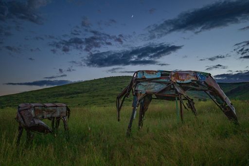 The metal horses in the green meadow in the evening. Glassford Hill, Prescott Valley, Arizona.