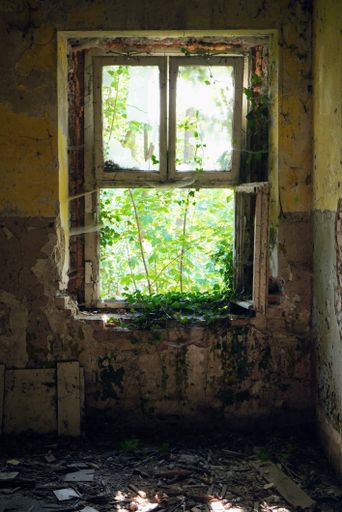 A vertical shot of a broken window in an abandoned building