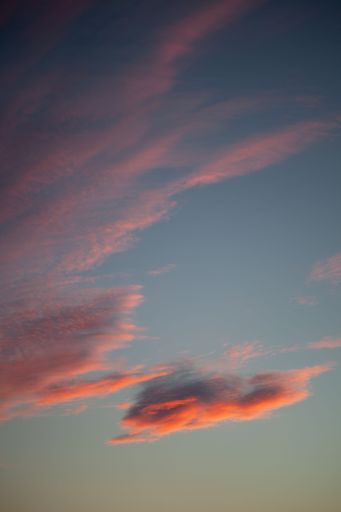 A vertical shot of sky in warm colors