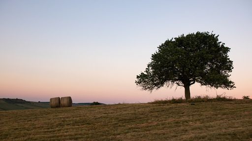 The hills covered in greens and trees and gleaming under the sunset - great for wallpapers