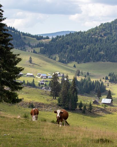 An amazing shot of a small village in an amazing mountain landscape in Transylvania, Romania