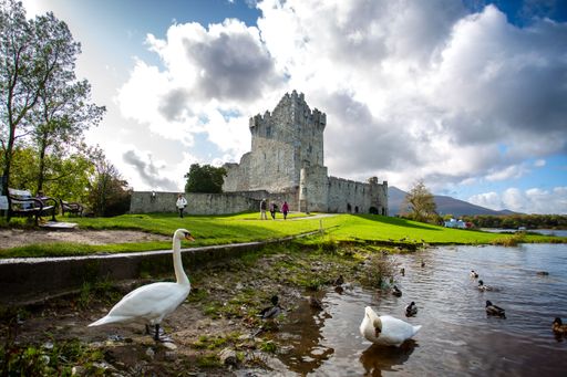 An ancient castle against the cloudy sky with swans and ducks in a lake at the forefront