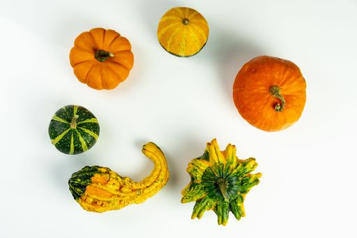 A top view of Variety of pumpkins and Gourd Bumpy orange for Halloween on white background