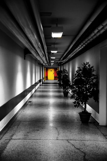 A vertical grayscale shot of a narrow hallway with lights