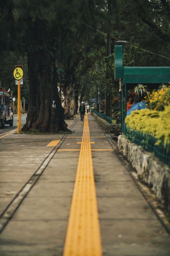 A vertical shot of a paved pedestrian walkway by the garden